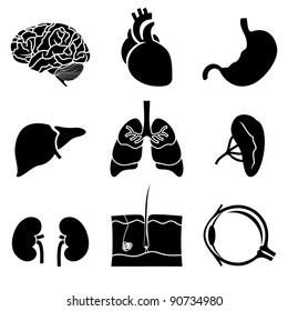 anatomical icons