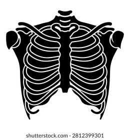 An anatomical illustration showcasing the human rib cage, including ribs, sternum, and clavicles, highlighting skeletal structure and human anatomy.