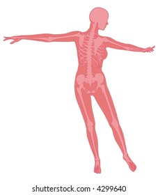 An anatomical illustration of the skeleton beneath the skin of a dancer.