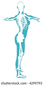 An anatomical illustration of the skeleton beneath the skin of a dancer.