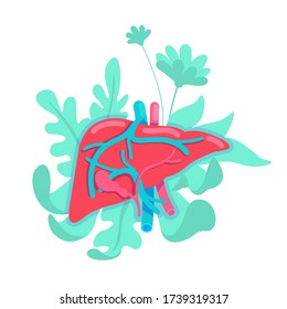 Ilustración vectorial del concepto plano del hígado anatómico