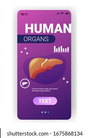 icono anatómico del hígado anatomía interna del cuerpo humano biología de la salud de la salud concepto médico de la pantalla del smartphone aplicación móvil copia vertical espacio ilustración vectorial