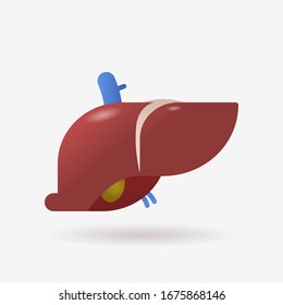anatomical liver icon human body internal organ anatomy biology healthcare medical concept flat vector illustration