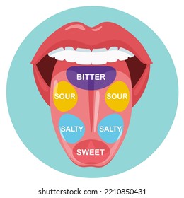 Mapa anatómico de la lengua con partes sentido gusto. Cubos de sabor, secciones de estructura sobre la lengua, dulce, amargo, salado, agrio. Ilustración vectorial plana.