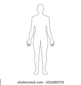 Anatomical Position Anterior View Female Body Outline Vector Illustration