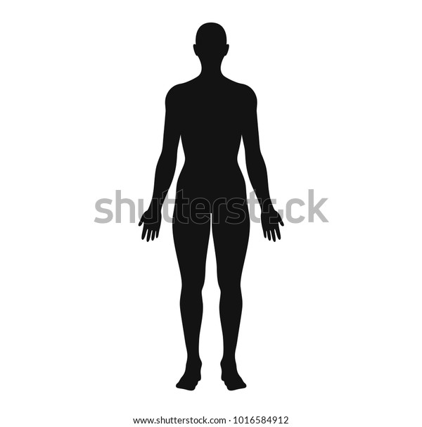 Anatomical Position Anterior View Female Body Stock Vector Royalty