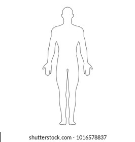 Anatomical Position Anterior View Male Body Outline Vector Illustration
