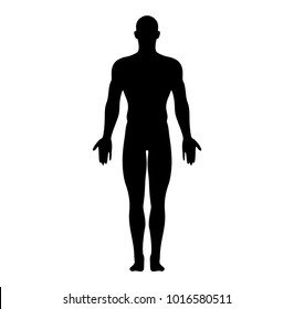 Anatomical Position Anterior View Male Body Silhouette Vector Illustration