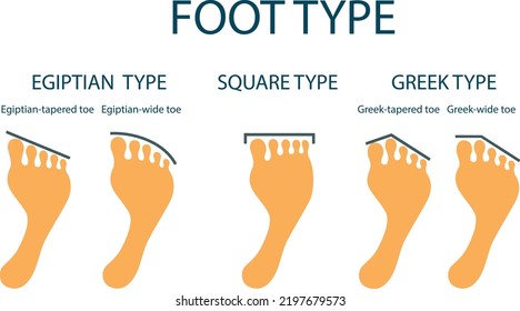 Anatomical Shape Of Human Toes. Footprint Set. Humor. Vector Illustration, Isolated On White Background, Flat Design