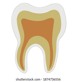 anatomische Form des Zahnzahnarztes Emaille Zellstoff, Struktur der Vektorlogo-Zähne für Zahnklinik