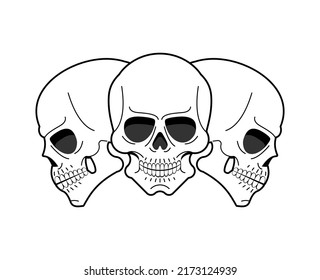 Anatomical skull isolated. skeleton head Vector illustration