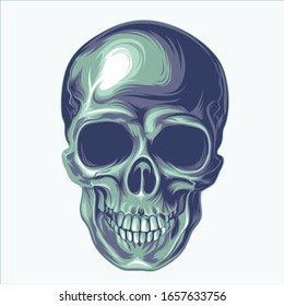 Anatomical Skull Vector Art. Detailed hand-drawn illustration of a skull. Grungy weathered illustration.