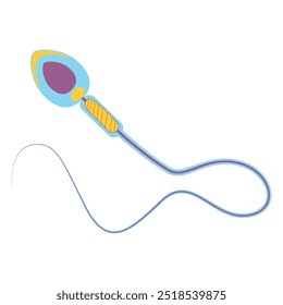 Estructura anatómica del espermatozoide humano. Ilustración vectorial