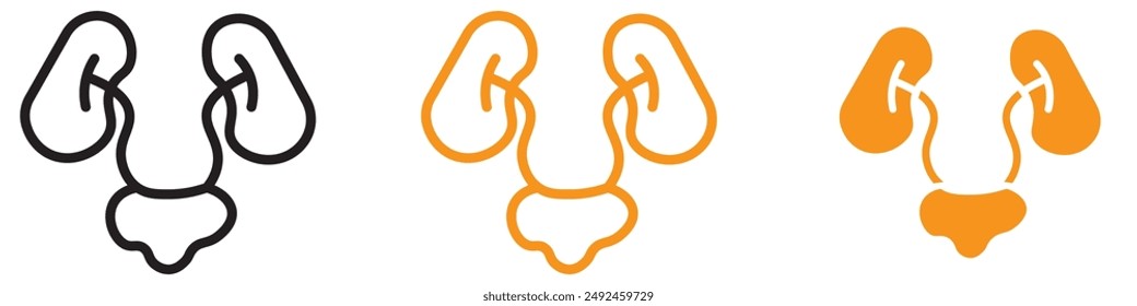 Anatomical Urinary System Icon for Health and Medical Graphics Ideal for Representing the Urinary System and Medical Diagrams