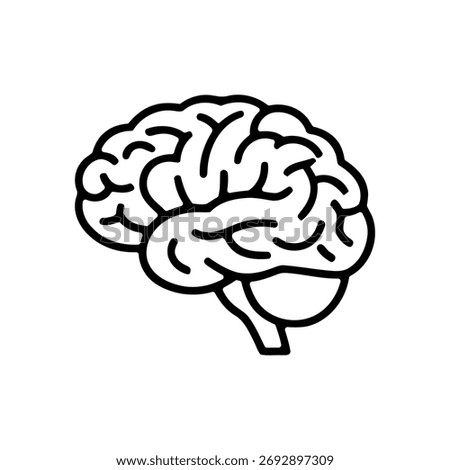 Anatomical Vector Silhouette of a Human Brain on a White Background