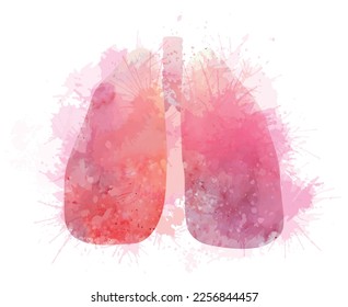 Imagen acuarela anatómica de pulmones humanos con salpicaduras aisladas de fondo. Pintura rosa dibujando órgano corporal humano con pulverizaciones y manchas. Elemento vector para artículos, banderas y tarjetas