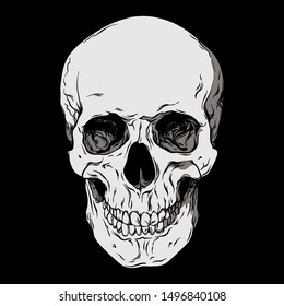 Anatomically correct human skull isolated. Hand drawn line art vector illustration