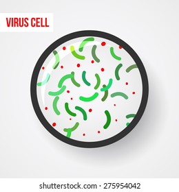 Anatomy of a bacterial cell