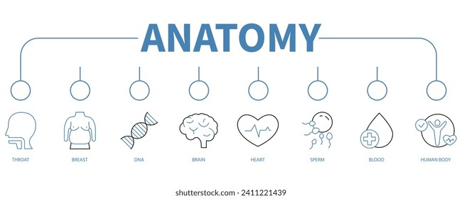 Anatomy banner web icon vector illustration concept