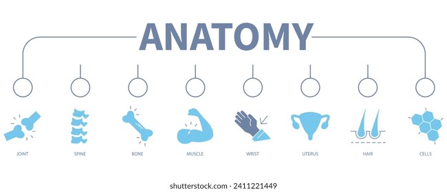 Anatomy banner web icon vector illustration concept