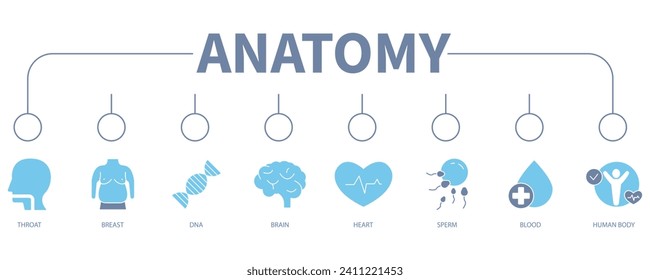 Anatomy banner web icon vector illustration concept