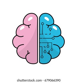 anatomy brain with circuits digital connection