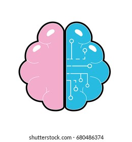 anatomy brain with circuits digital connection