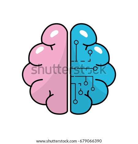anatomy brain with circuits digital connection