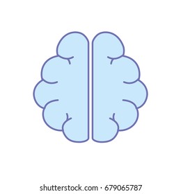 anatomy brain to imagination and memory inspiration