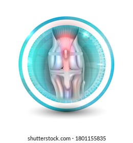 Anatomy of the canine (dog's) knee joint colorful symbol, icon design, healthy joint round icon on a white background.