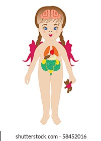 Anatomy of a child, internal organs