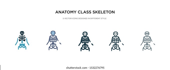 anatomy class skeleton icon in different style vector illustration. two colored and black anatomy class skeleton vector icons designed in filled, outline, line and stroke style can be used for web,