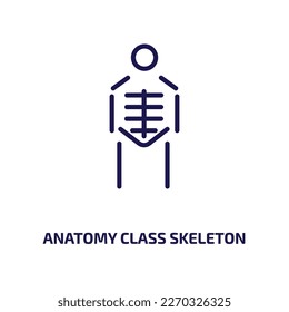 anatomy class skeleton icon from user interface collection. Thin linear anatomy class skeleton, education, research outline icon isolated on white background. Line vector anatomy class skeleton sign, 
