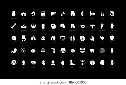 Anatomy. Collection of perfectly simple monochrome icons for web design, app, and the most modern projects. Universal pack of classical signs for category Medicine.