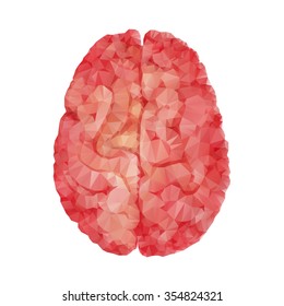 Anatomy collection - polygonal brain. Vector isolated organ. Two separated hemispheres (need to ungroup). Eps 10 vector file