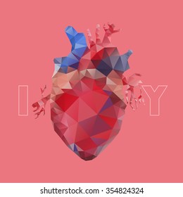 Anatomy collection - polygonal heart. Vector isolated organ. Holiday card. Eps 10 vector file