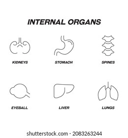 Anatomy concept. Internal organs line icon set. Editable strokes. Line icons of kidneys, stomach, spines, eyeball, liver, lungs