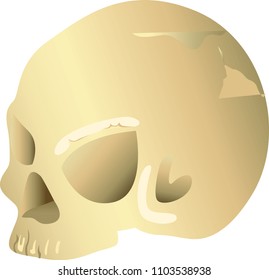 Anatomy detailed modern art design of glowing big skull with. Cartoon realistic object. Character skeleton mascot for computer game or education info graphics. Isolated vector with white background.