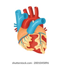 Anatomía de ilustraciones vectoriales planas del corazón enfermas