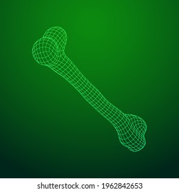 Anatomy Dog Bone object. Wireframe low poly mesh vector illustration