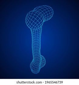 Anatomy Dog Bone object. Wireframe low poly mesh vector illustration