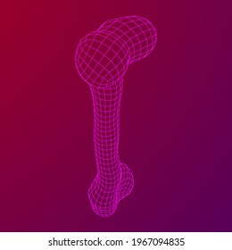 Anatomy Dog Bone object. Wireframe low poly mesh vector illustration