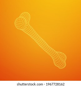 Anatomy Dog Bone object. Wireframe low poly mesh vector illustration