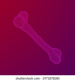 Anatomy Dog Bone object. Wireframe low poly mesh vector illustration
