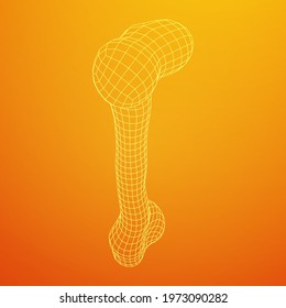Anatomy Dog Bone object. Wireframe low poly mesh vector illustration