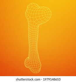 Anatomy Dog Bone object. Wireframe low poly mesh vector illustration