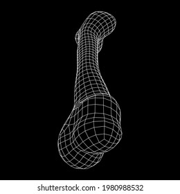 Anatomy Dog Bone object. Wireframe low poly mesh vector illustration