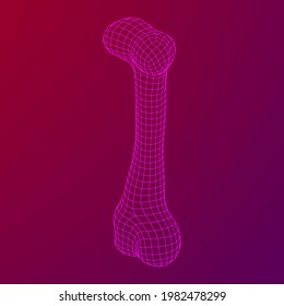 Anatomy Dog Bone object. Wireframe low poly mesh vector illustration