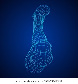 Anatomy Dog Bone object. Wireframe low poly mesh vector illustration