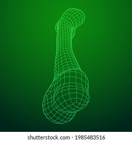 Anatomía de objetos de hueso de perro. Ilustración vectorial de malla baja de malla de alambre